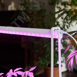 Набор Минисад светильник для растений светодиодный с подставкой Спектр для рассады и цветения 6 кашпо в/к мраморные - фото 5