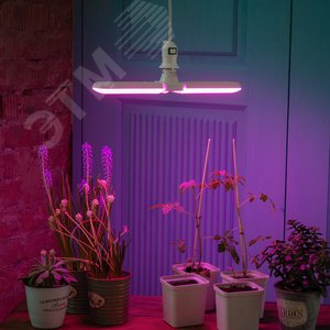Лампа светодиодная для растений. Форма P лепестковая, матовая. Спектр для рассады и цветения. LED-P65-16W/SPSB/E27/FR/P2 PLP32WH UL-00007406 Uniel - 3