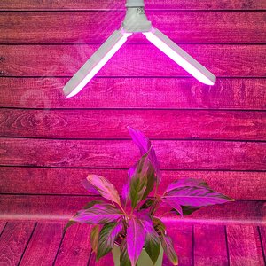 Лампа светодиодная для растений. Форма P лепестковая, матовая. Спектр для рассады и цветения. LED-P65-16W/SPSB/E27/FR/P2 PLP32WH UL-00007406 Uniel - 4