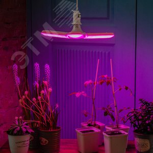 LED-P65-24W/SPSB/E27/FR/P3 PLP32WH Лампа светодиодная для растений. Форма P лепестковая, матовая. Спектр для рассады и цветения. Картон. ТМ UL-00007407 Uniel - 4