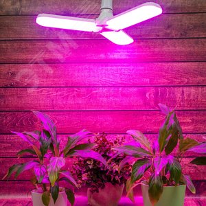 LED-P65-24W/SPSB/E27/FR/P3 PLP32WH Лампа светодиодная для растений. Форма P лепестковая, матовая. Спектр для рассады и цветения. Картон. ТМ UL-00007407 Uniel - 5