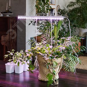 Светильник для растений светодиодный линейный 560мм выкл на корпусе Спектр для фотосинтеза TM UL-00007512 Uniel - 4