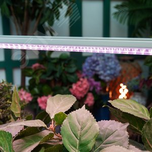 Светильник для растений светодиодный линейный 1150 мм выключатель на корпусе спектр для фотосинтеза - фото 6