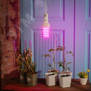 Лампа светодиодная для растений Форма DOUBLESIDE прозрачная Спектр для рассады и досвечивания в период роста Картон UL-00007647 Uniel - 3