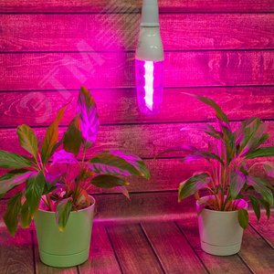 Лампа светодиодная для растений Форма DOUBLESIDE прозрачная Спектр для рассады и досвечивания в период роста Картон UL-00007647 Uniel - 4
