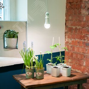 Патрон DLC-P-T50B/E27 3M WHITE подвесной с выключателем и штепсельной вилкой, 300 см, Цоколь Е27. белый - фото 4