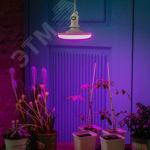 Патрон DLC-P-T50B/E27 3M WHITE подвесной с выключателем и штепсельной вилкой, 300 см, Цоколь Е27. белый - фото 3