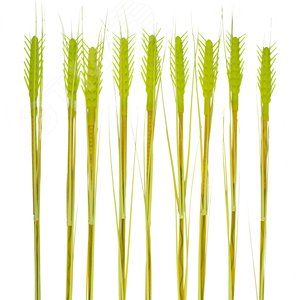 Светильник садовый на солнечной батарее USL-S-817/PT800 CORN SET10 Колосья, в комплекте из 10 штук 120 светодиодов Теплый 1хАА Ni-Mh аккумулятор в/к IP44 - фото 4