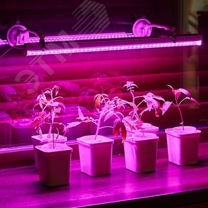 Подставка для светильника на присоске UFP-M01R-150 WHITE POLYBAG SET2 ULI-P - фото 4