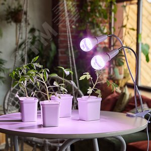 Светильник настольный для 2-х фитоламп на прищепке, E27 цоколь, белый ФитоЛето - фото 5