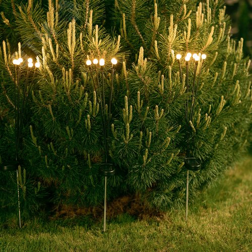 Светильник садовый USL-S-820/PM700 FIREFLIES на солнечной батарее ''Светлячки''. 6 светодиодов. Теплый белый свет. 1хАА Ni-Mh аккумулятор в/к. IP44. - фото 8