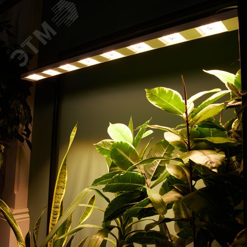 Светильник светодиодный накладной ULT-P71B-100W/SPFB/L105 WHITE WINTERGARDEN спектр для фотосинтеза, белый корпус, 60 градусов угол - фото 9