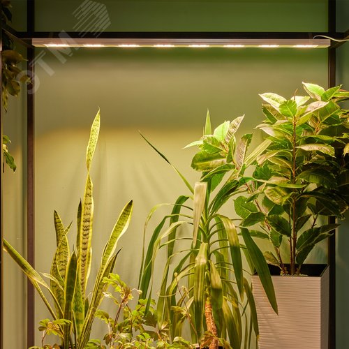 Светильник светодиодный накладной ULT-P71B-100W/SPFB/L105 WHITE WINTERGARDEN спектр для фотосинтеза, белый корпус, 60 градусов угол - фото 10