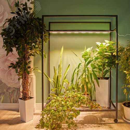 Светильник светодиодный накладной ULT-P71B-100W/SPFB/L105 WHITE WINTERGARDEN спектр для фотосинтеза, белый корпус, 60 градусов угол - фото 11