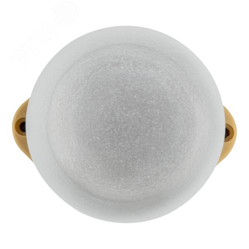 Светильник влагозащищенный под лампу Е27 для бань и саун до +125°С Цвет корпуса сосна ТМ Uniel UWL-K01R 60W/E27 IP65 PINE - фото 2