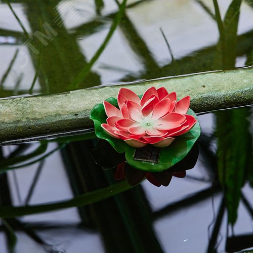 Светильник садовый на солнечной батарее Красная кувшинка Плавающий 1 светодиода Теплый белый свет 1xААA Ni-Mh аккумулятор в комплекте IP44 USL-S-826/PT060 RED WATERLILY - фото 8