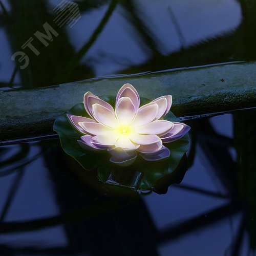 Светильник садовый на солнечной батарее Фиолетовая кувшинка Плавающий 1 светодиод Теплый белый свет 1xААA Ni-Mh аккумулятор в клмпдекте IP44 USL-S-828/PT060 PURPLE WATERLILY - фото 5