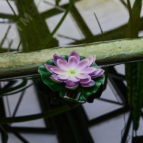 Светильник садовый на солнечной батарее Фиолетовая кувшинка Плавающий 1 светодиод Теплый белый свет 1xААA Ni-Mh аккумулятор в клмпдекте IP44 USL-S-828/PT060 PURPLE WATERLILY - фото 6