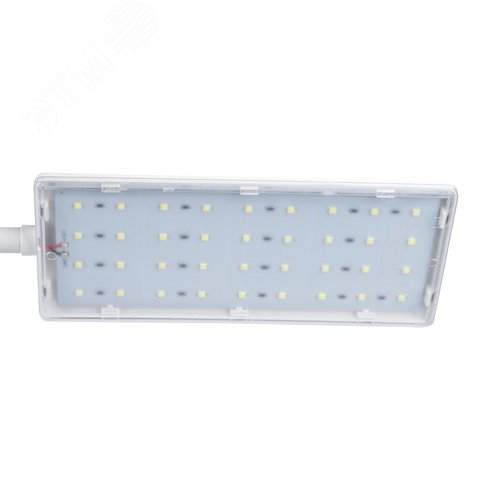 Светильник для растений светодиодный с таймером 24 Вт на прищепке Спектр для фотосинтеза ULT-P37-24W/SPFR/TM/60 IP40 WHITE TWIN - фото 4