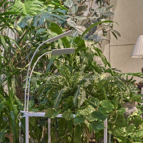 Светильник для растений светодиодный с таймером 24 Вт на прищепке Спектр для фотосинтеза ULT-P37-24W/SPFR/TM/60 IP40 WHITE TWIN - фото 15