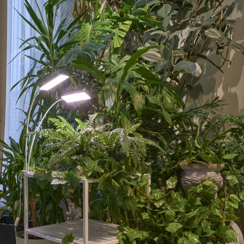 Светильник для растений светодиодный с таймером 24 Вт на прищепке Спектр для фотосинтеза ULT-P37-24W/SPFR/TM/60 IP40 WHITE TWIN - фото 17