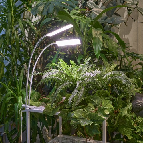 Светильник для растений светодиодный с таймером 24 Вт на прищепке Спектр для фотосинтеза ULT-P37-24W/SPFR/TM/60 IP40 WHITE TWIN - фото 20