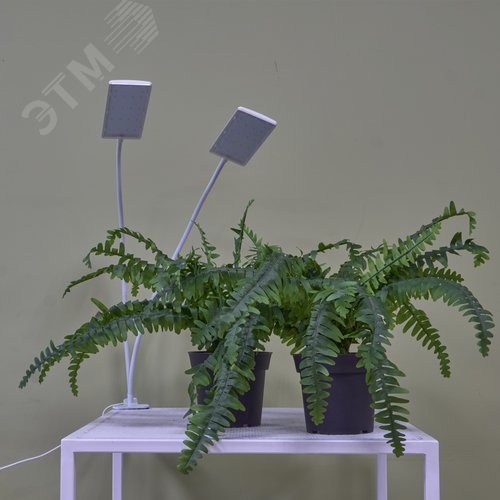 Светильник для растений светодиодный с таймером 24 Вт на прищепке Спектр для фотосинтеза ULT-P37-24W/SPFR/TM/60 IP40 WHITE TWIN - фото 21