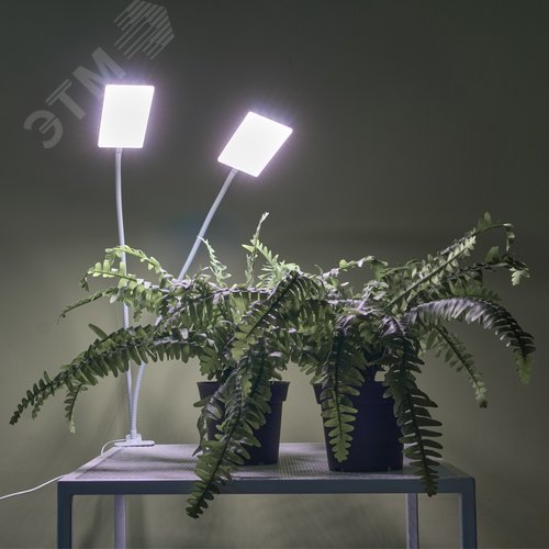 Светильник для растений светодиодный с таймером 24 Вт на прищепке Спектр для фотосинтеза ULT-P37-24W/SPFR/TM/60 IP40 WHITE TWIN - фото 22