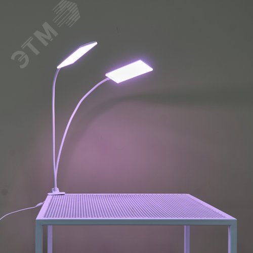 Светильник для растений светодиодный с таймером 24 Вт на прищепке Спектр для фотосинтеза ULT-P37-24W/SPLE/TM/60 IP40 WHITE TWIN - фото 15