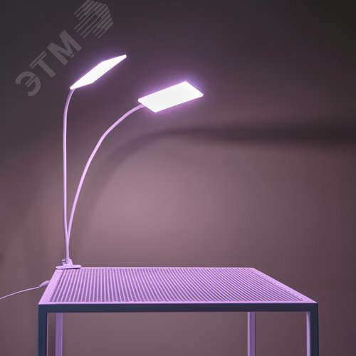 Светильник для растений светодиодный с таймером 24 Вт на прищепке Спектр для фотосинтеза ULT-P37-24W/SPLE/TM/60 IP40 WHITE TWIN - фото 16