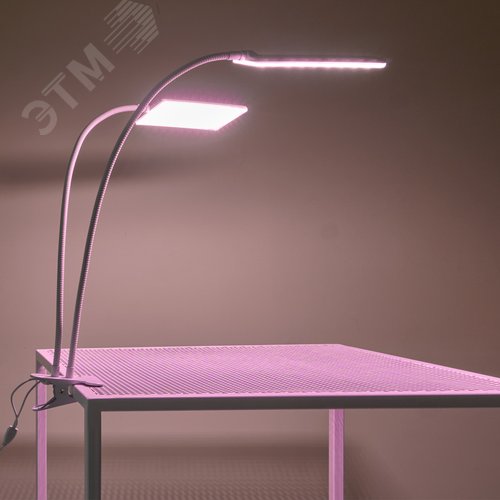 Светильник для растений светодиодный с таймером 24 Вт на прищепке Спектр для фотосинтеза ULT-P37-24W/SPLE/TM/60 IP40 WHITE TWIN - фото 17