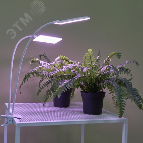 Светильник для растений светодиодный с таймером 24 Вт на прищепке Спектр для фотосинтеза ULT-P37-24W/SPLE/TM/60 IP40 WHITE TWIN - фото 18