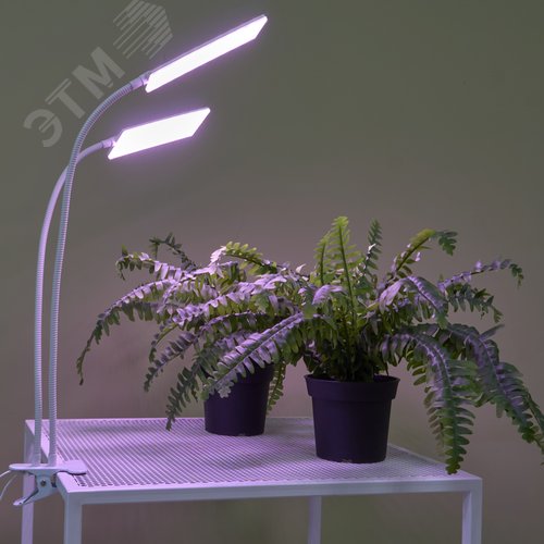 Светильник для растений светодиодный с таймером 24 Вт на прищепке Спектр для фотосинтеза ULT-P37-24W/SPLE/TM/60 IP40 WHITE TWIN - фото 19