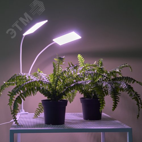 Светильник для растений светодиодный с таймером 24 Вт на прищепке Спектр для фотосинтеза ULT-P37-24W/SPLE/TM/60 IP40 WHITE TWIN - фото 20