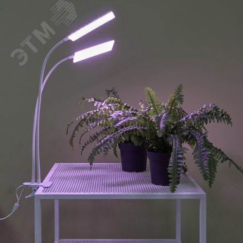 Светильник для растений светодиодный с таймером 24 Вт на прищепке Спектр для фотосинтеза ULT-P37-24W/SPLE/TM/60 IP40 WHITE TWIN - фото 21