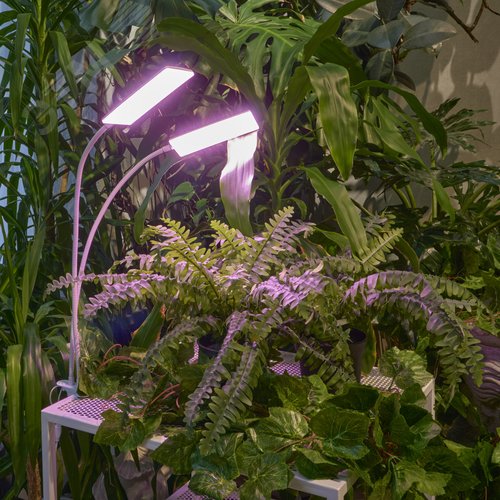 Светильник для растений светодиодный с таймером 24 Вт на прищепке Спектр для фотосинтеза ULT-P37-24W/SPLE/TM/60 IP40 WHITE TWIN - фото 23