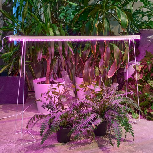 Светильник для растений светодиодный линейный 30 Вт 1173 мм выключатель на корпусе пластик спектр для рассады и досвечивания в период роста ФитоЛето ULI-P57-30W/SPBR IP20 WHITE - фото 10