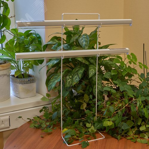 Светильник для растений светодиодный с таймером 15 Вт на прищепке спектр для фотосинтеза ULT-P35M-15W/SPLE/TM IP40 WHITE LEAF - фото 15