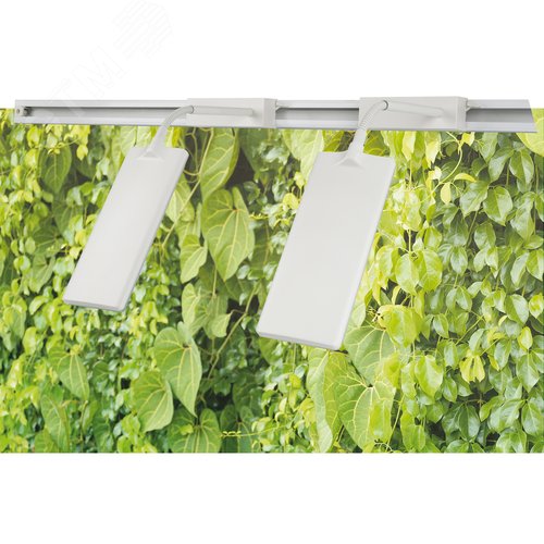 Светильник-прожектор светодиодный трековый 12 Вт в составе набора из 2штук Спектр для фотосинтеза Корпус белый ТМ ULB-P37-12W/SPFR WHITE SET2 - фото 5