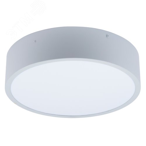 Изображение товара Светильник светодиодный накладной ДБО Белый свет 4000K Диаметр 400мм Корпус светло-серый ULO-K40A 30W/4000К/R40 IP40 LIGHT GREY (шт)