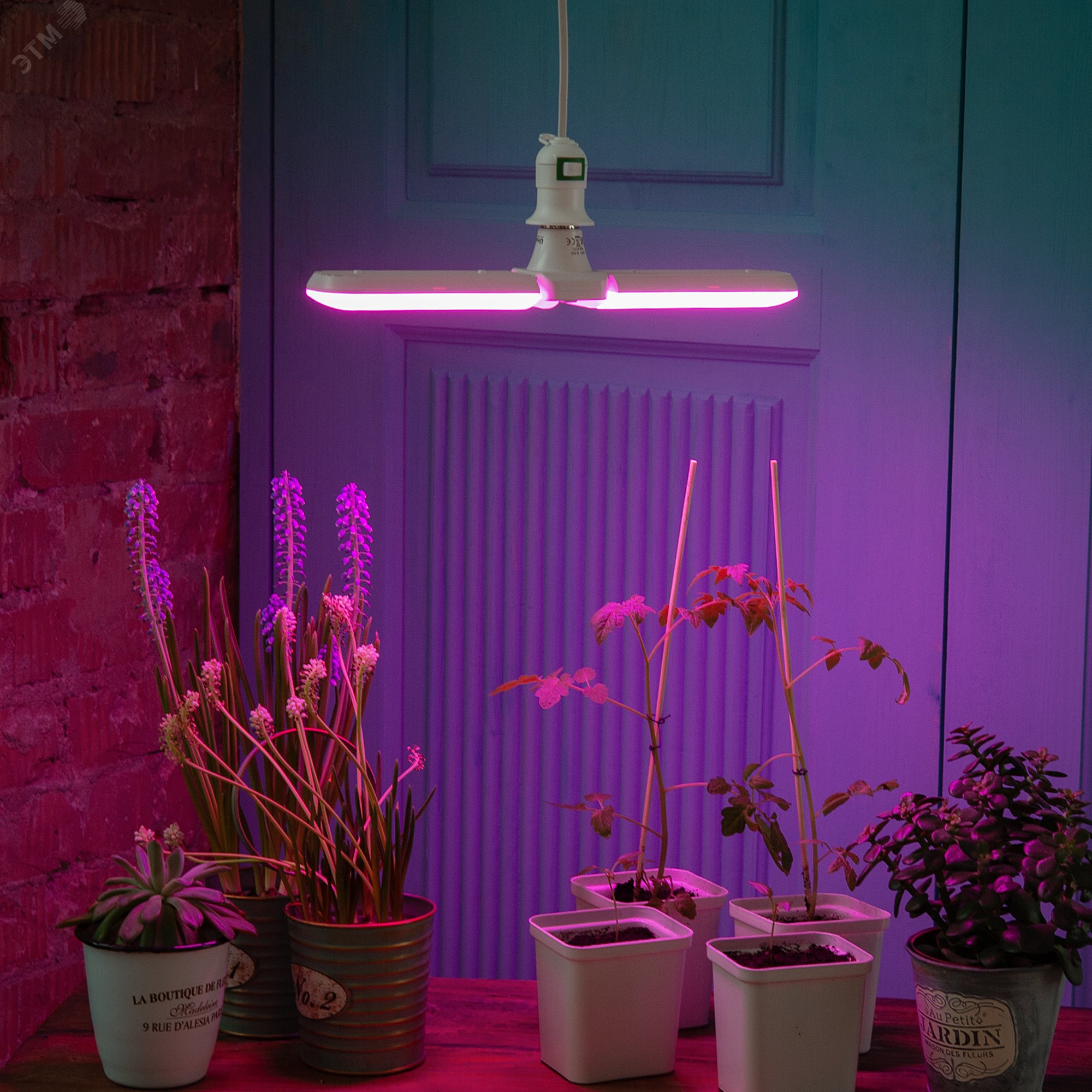 Лампа светодиодная для растений. Форма P лепестковая, матовая. Спектр для рассады и цветения. LED-P65-16W/SPSB/E27/FR/P2 PLP32WH UL-00007406 Uniel - превью 3