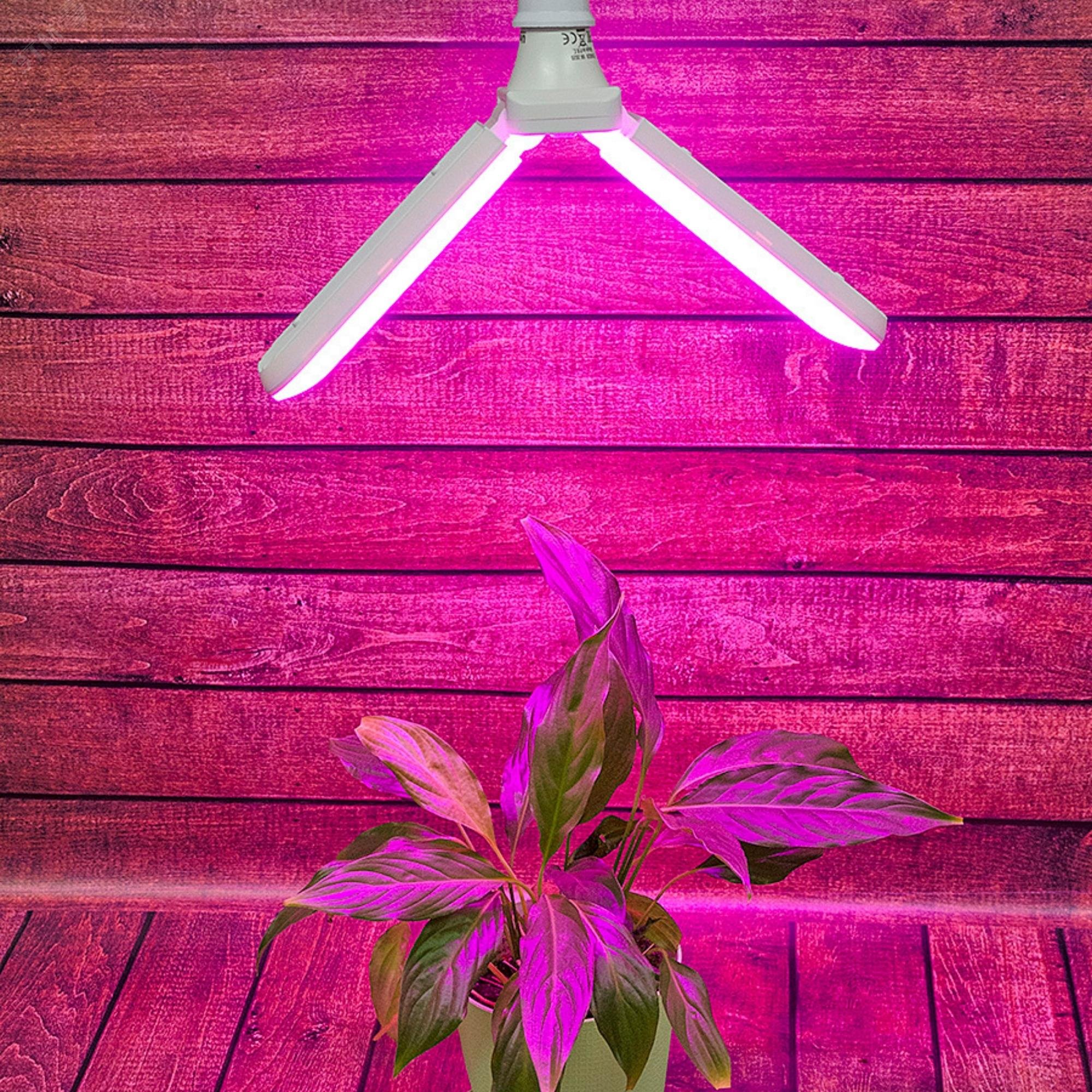 Лампа светодиодная для растений. Форма P лепестковая, матовая. Спектр для рассады и цветения. LED-P65-16W/SPSB/E27/FR/P2 PLP32WH UL-00007406 Uniel - превью 4
