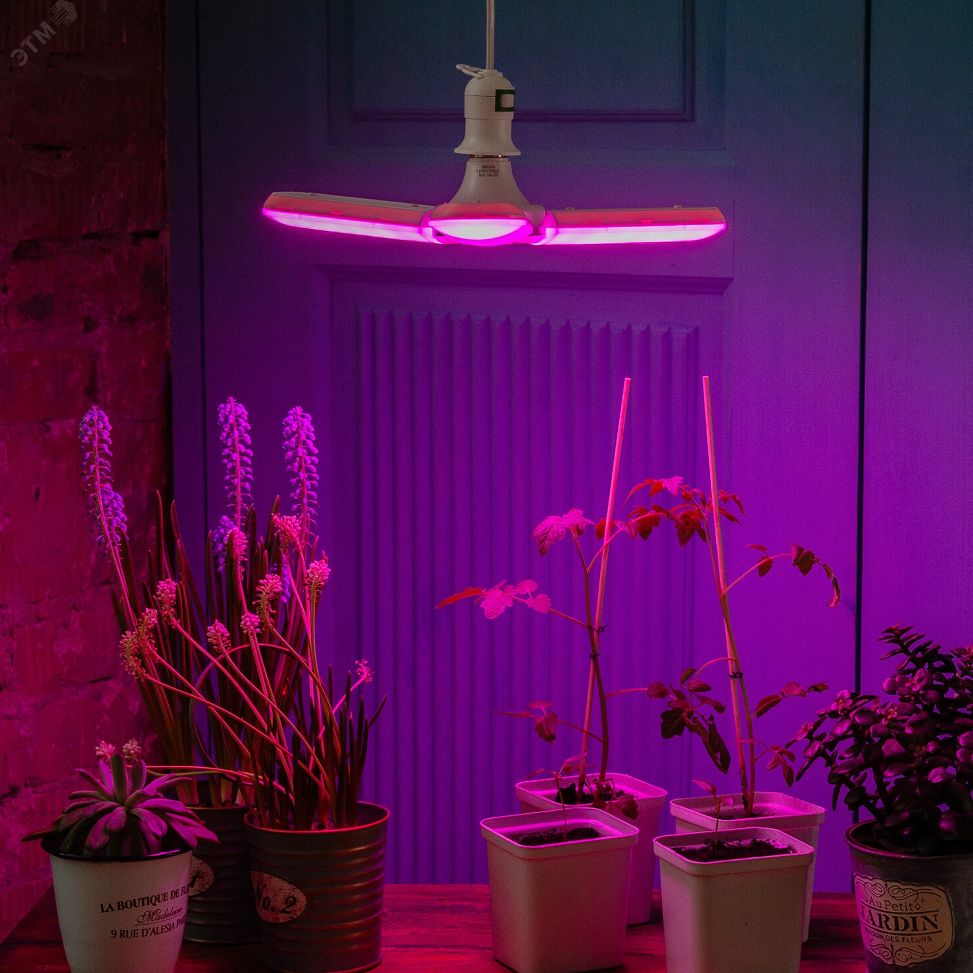 LED-P65-24W/SPSB/E27/FR/P3 PLP32WH Лампа светодиодная для растений. Форма P лепестковая, матовая. Спектр для рассады и цветения. Картон. ТМ UL-00007407 Uniel - превью 4