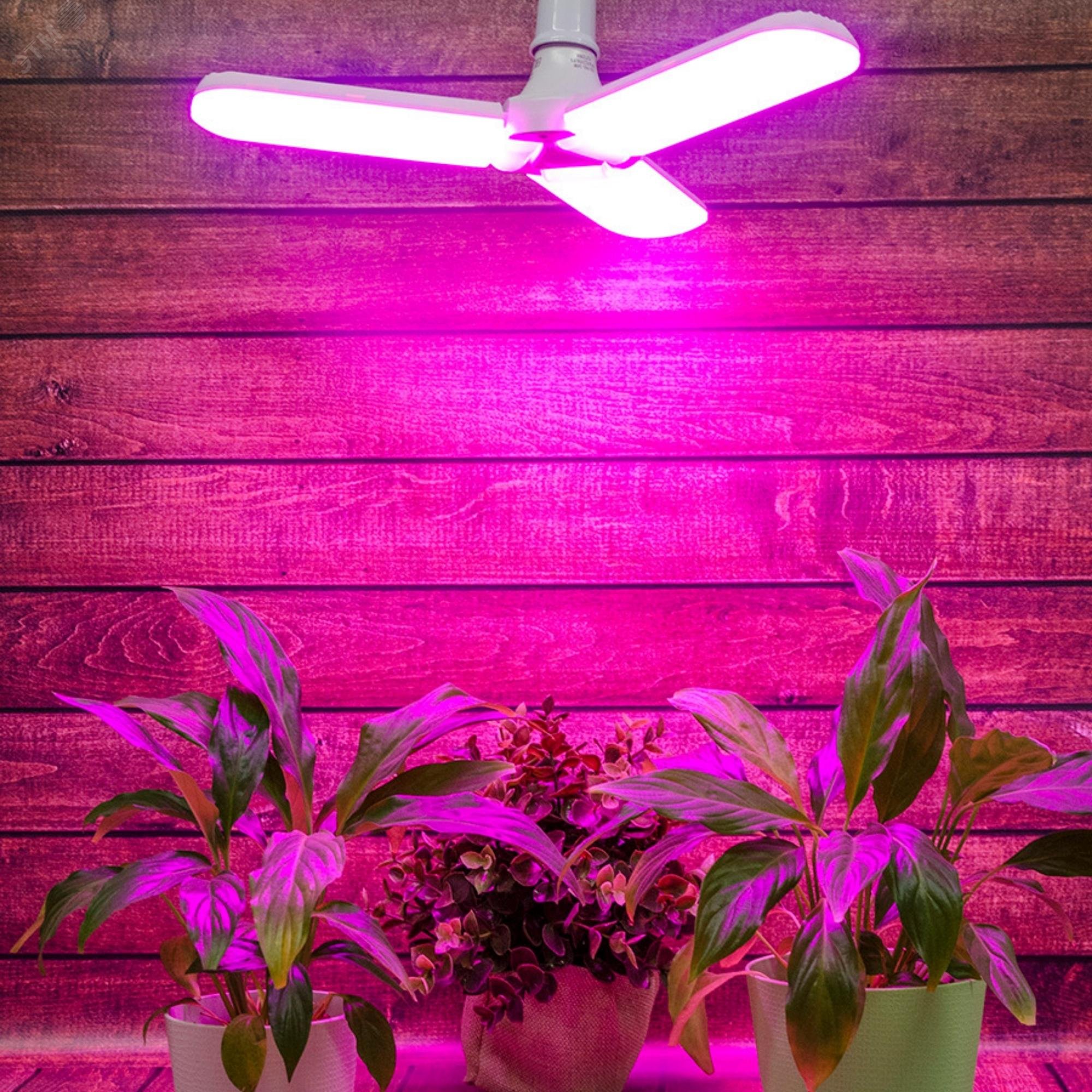 LED-P65-24W/SPSB/E27/FR/P3 PLP32WH Лампа светодиодная для растений. Форма P лепестковая, матовая. Спектр для рассады и цветения. Картон. ТМ UL-00007407 Uniel - превью 5