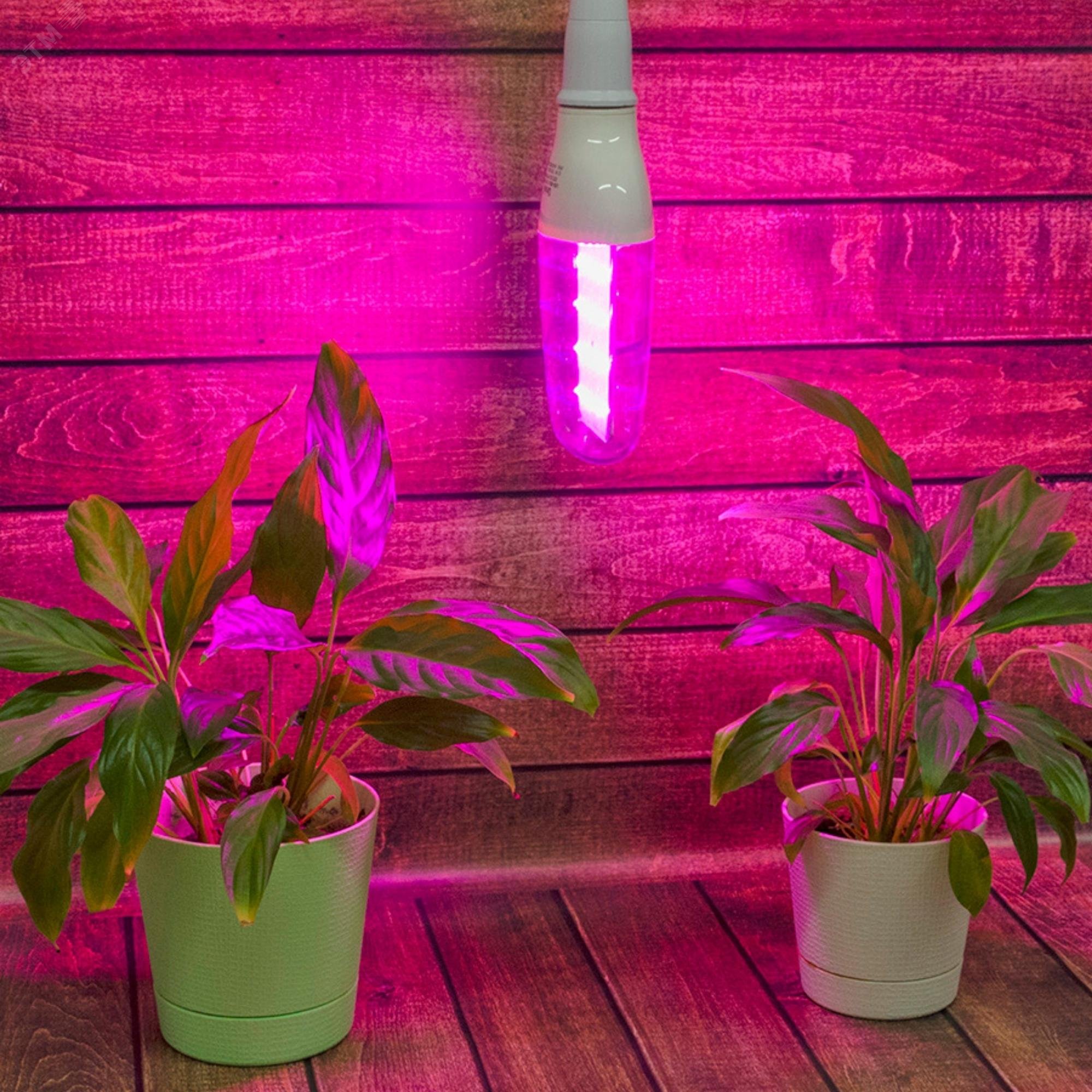 Лампа светодиодная для растений Форма DOUBLESIDE прозрачная Спектр для рассады и досвечивания в период роста Картон UL-00007647 Uniel - превью 4