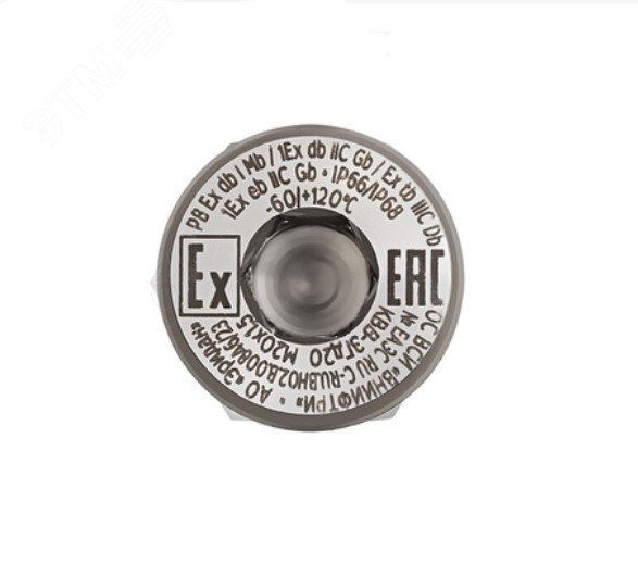 Заглушка оконечная Exd М20х1,5 мм(нерж) КВВ-ЗГд20-Н ER050000000142-0000 Эридан