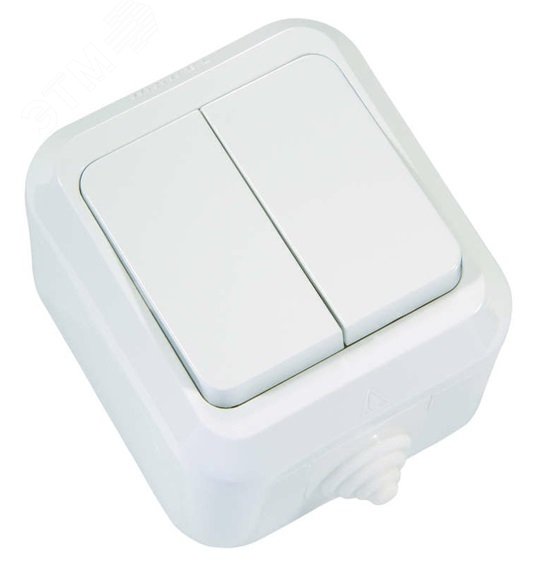 Изображение товара Выключатель двухклавишный IP44 белый 250В 10А для внутренней и наружной установки