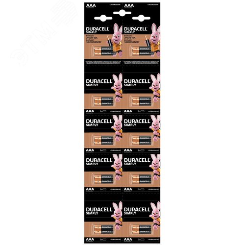 Изображение товара Элемент питания алкалиновый LR03-2BL BASIC 2*10 (шт)