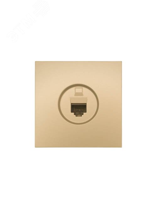 Изображение товара Розетка компьютерная ZIMA Lezard золото 704-3688-139