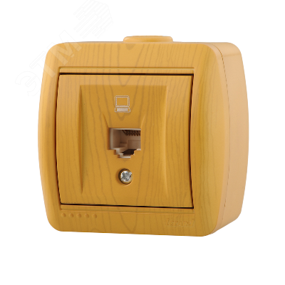 Изображение товара Розетка компьютерная Ната от Lezard с защитой IP20